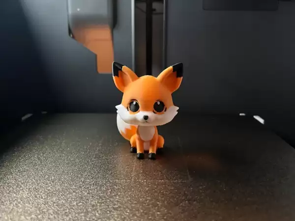 cute Fox
